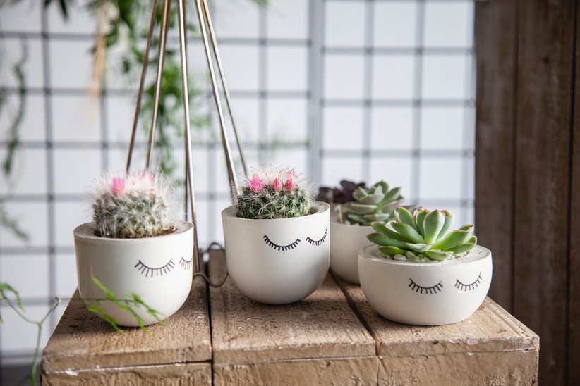 succulents for your wedding